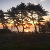 旅先にて