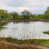 茶屋沼公園（福島県福島）