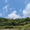 青嵐