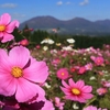 フォト・ライブラリー(472)蒜山研修会2014〜秋の蒜山高原