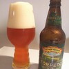 
SIERRA NEVADA TORPEDO EXTRA IPA


