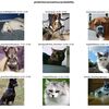 fast.ai で deep learning を勉強しよう（２）Lesson 1: Image classification