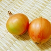 玉ねぎドレッシング