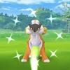 ライコウデイお疲れ様でした！妻にイロチ来てひと安心www【ポケモンGO】