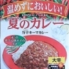 ハウス　夏のカレー	旨辛キーマカレー　大辛