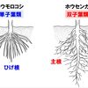 中華人民共和国、追加１