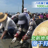ＧＷ潮干狩りに1000人 真夏日に迫る暑さ