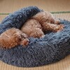 涼しい朝の久喜