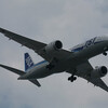  NH JA818A B787-8