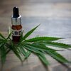 Topical Makes Use Of For CBD Products