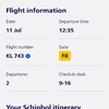 Amsterdam Schiphol airport info service