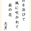 日を浴びて 風に吹かれて 萩の花