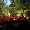 京の七夕　北野天満宮御土居