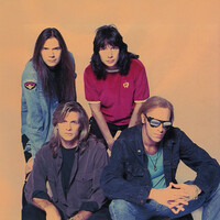MR.BIG The BIG Finale! Forever In Our Hearts」の感想（また来て