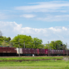 2024/04/13 1063レ ED76 1015号機
