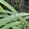 真に男性的な愛し方は、相手を笑顔にする愛し方。