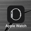 【ΦωΦ】AppleWatch同期