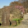 四季の森公園の桜など