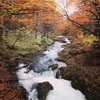 日光高山。人の少ないのんびり登山