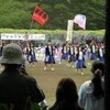 騎西の藤祭り