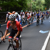 東京オリンピック　山中湖に来たる！