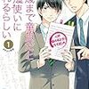 『30歳まで童貞だと魔法使いになれるらしい（１）』（豊田悠／スクウェア・エニックスガンガンコミックスpixiv）感想【ネタばれあり】