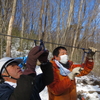 川崎仙台薪ストーブの会：モノケーブル架線集材のルーチン化