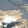 踏ん張りは根から！なのであります！