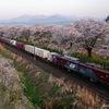 2024.4月を振り返る　③【地方巡業】一目千本桜の宮城県へ（１）