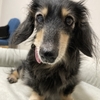ハイシニアとの暮らし。