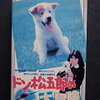 「知ってる！」という人に会ったことがない映画。