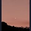 よしべ～の業務報告50108(水星、太陽、月、金星、木星）