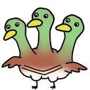 鴨カモ日記