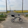 霞ケ浦左岸〜鹿島鉄道跡へポタ。カスイチ達成！