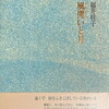 風攫いと月　福井桂子詩集