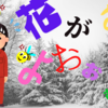 冬の蜜源対策をする！