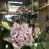 小川酒店　花歳時記