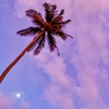 バリ島～満月の日は特別～