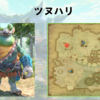 【FF14】黄金人物図鑑 「ツヌハリ」コザマル･カ
