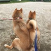 新しいお友達！