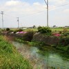 帰り道　本谷温泉〜市民の森ボタン