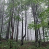 梅雨の登山も楽しめる、装備やコツ