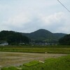 唐沢山城