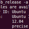 Virtual Machine Manager 0.9.1 on Ubuntu 12.04.2 LTS