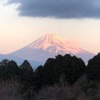 今朝の景色