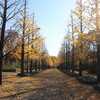 あづま総合運動公園　（最終）