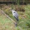 水月公園