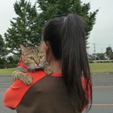 叫んで、みたいのおぉぉぉ！