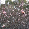 御花畑の竜宮城