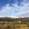 紅葉に雪